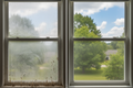 Storm Window Cleaning